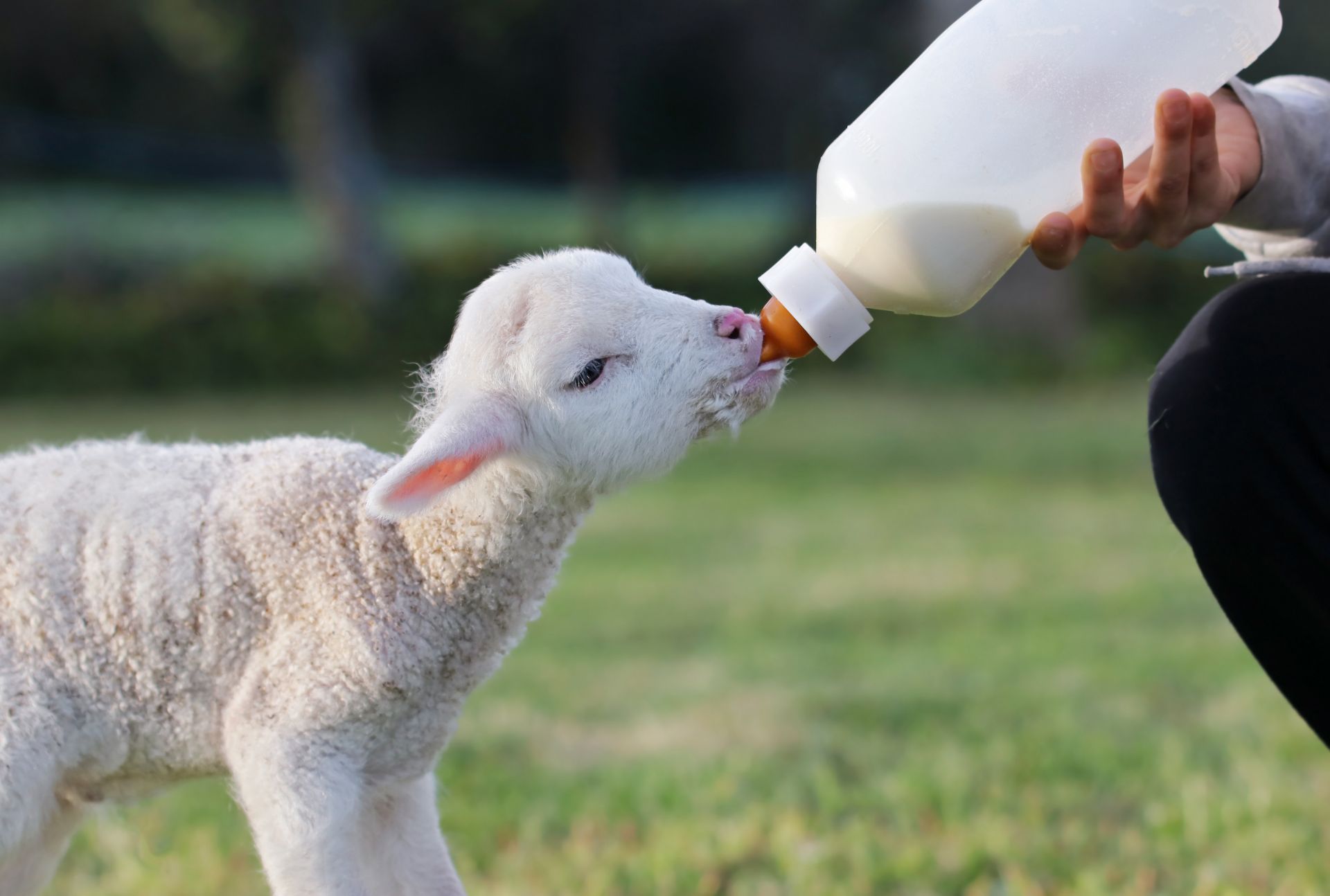 nutriment-webimg (10)