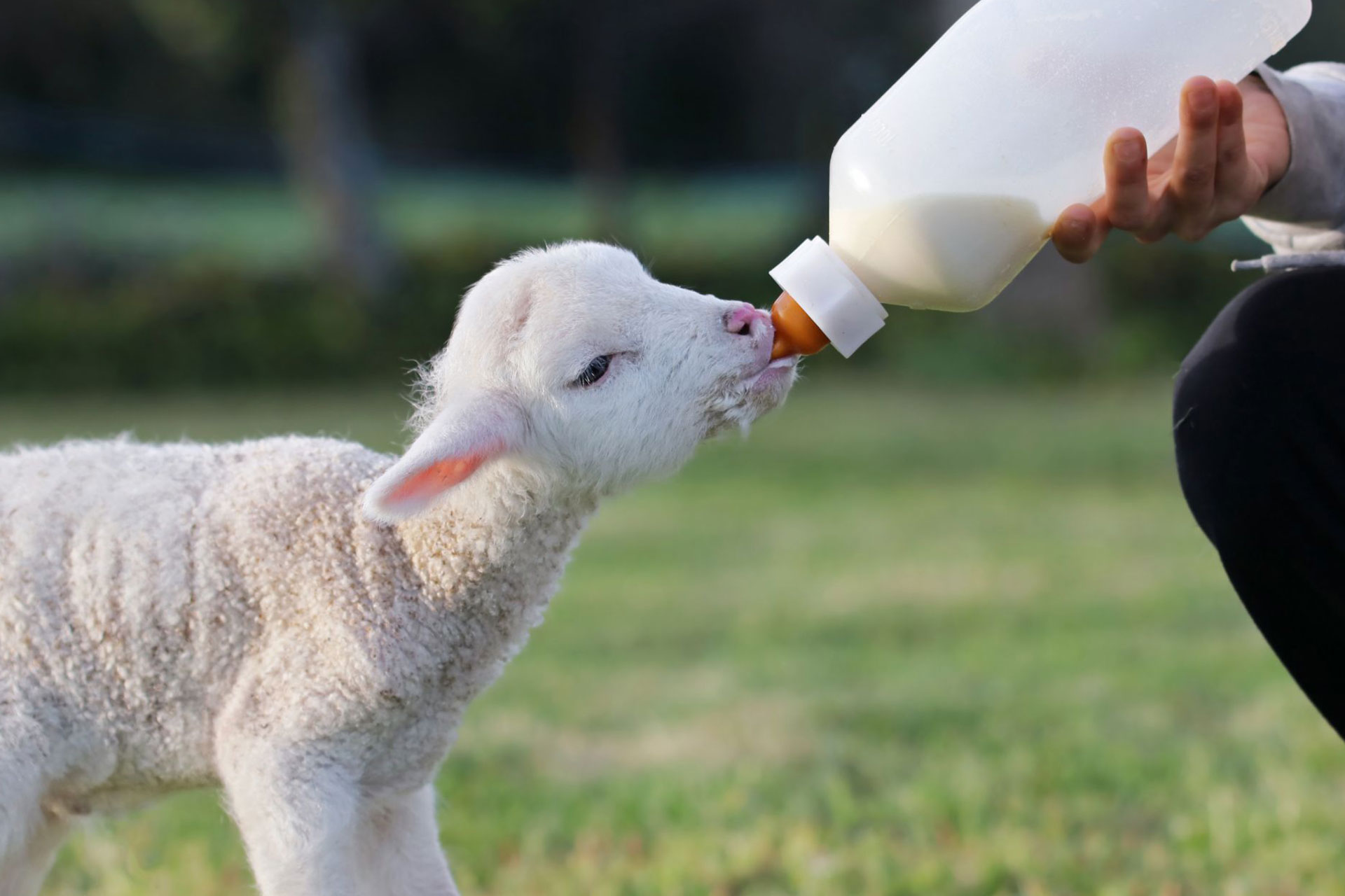 nutriment-webimg-(1)a